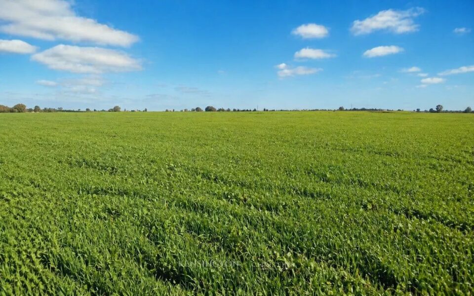 La Terrain stadio en Casablanca