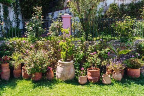 Casa Florida in Tanger, Morocco