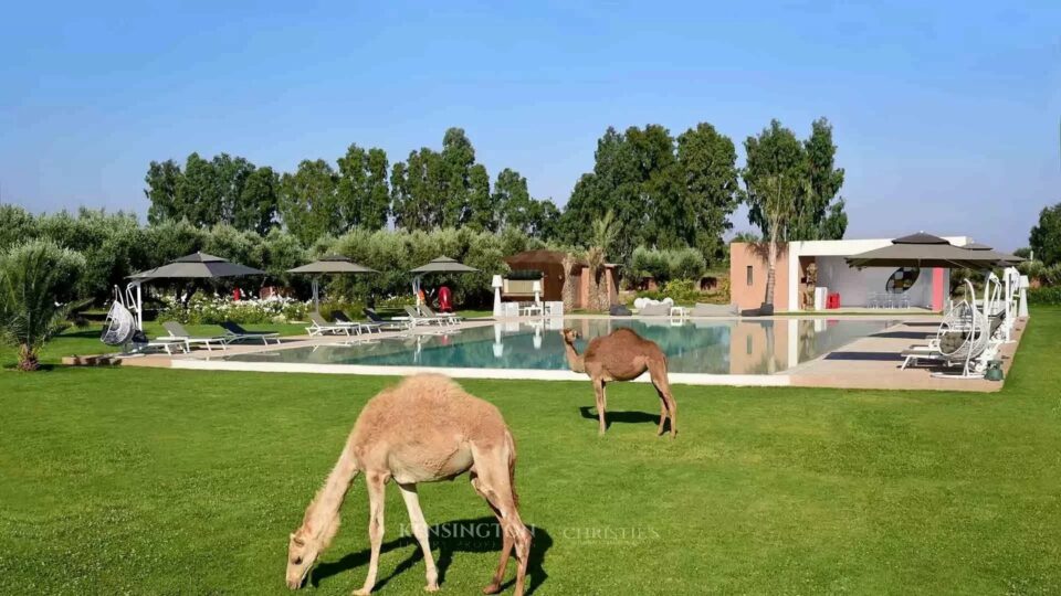 Domaine Ibtissam in Marrakech, Morocco