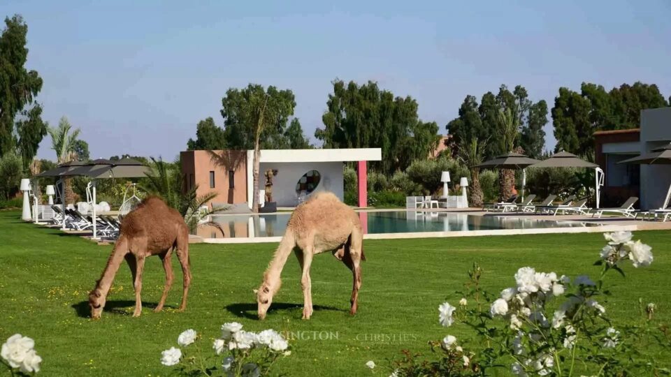 Domaine Ibtissam in Marrakech, Morocco