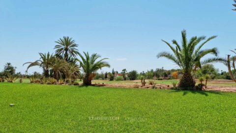 Flat Chrome in Marrakech, Morocco