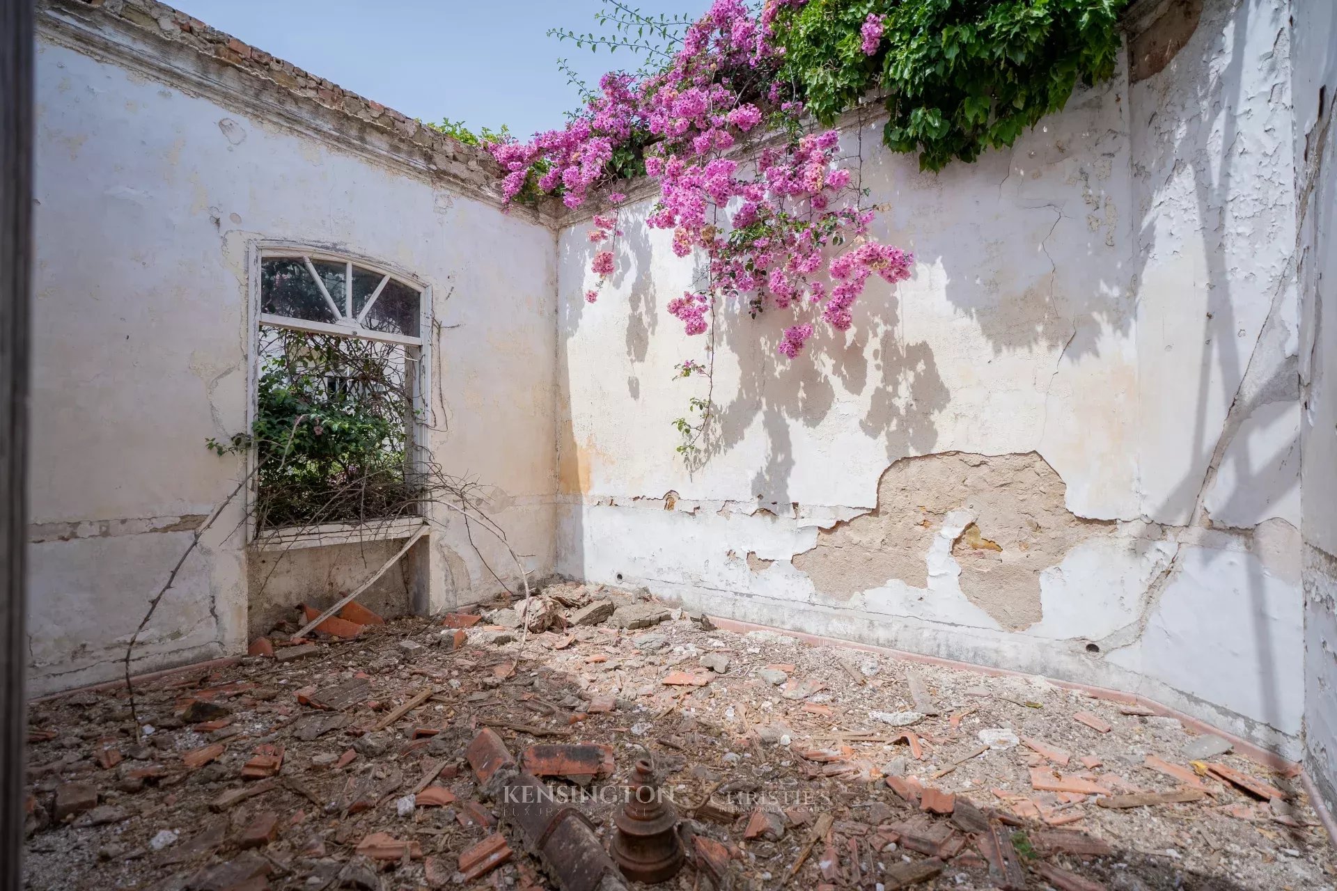 Golden Age in Tanger, Morocco
