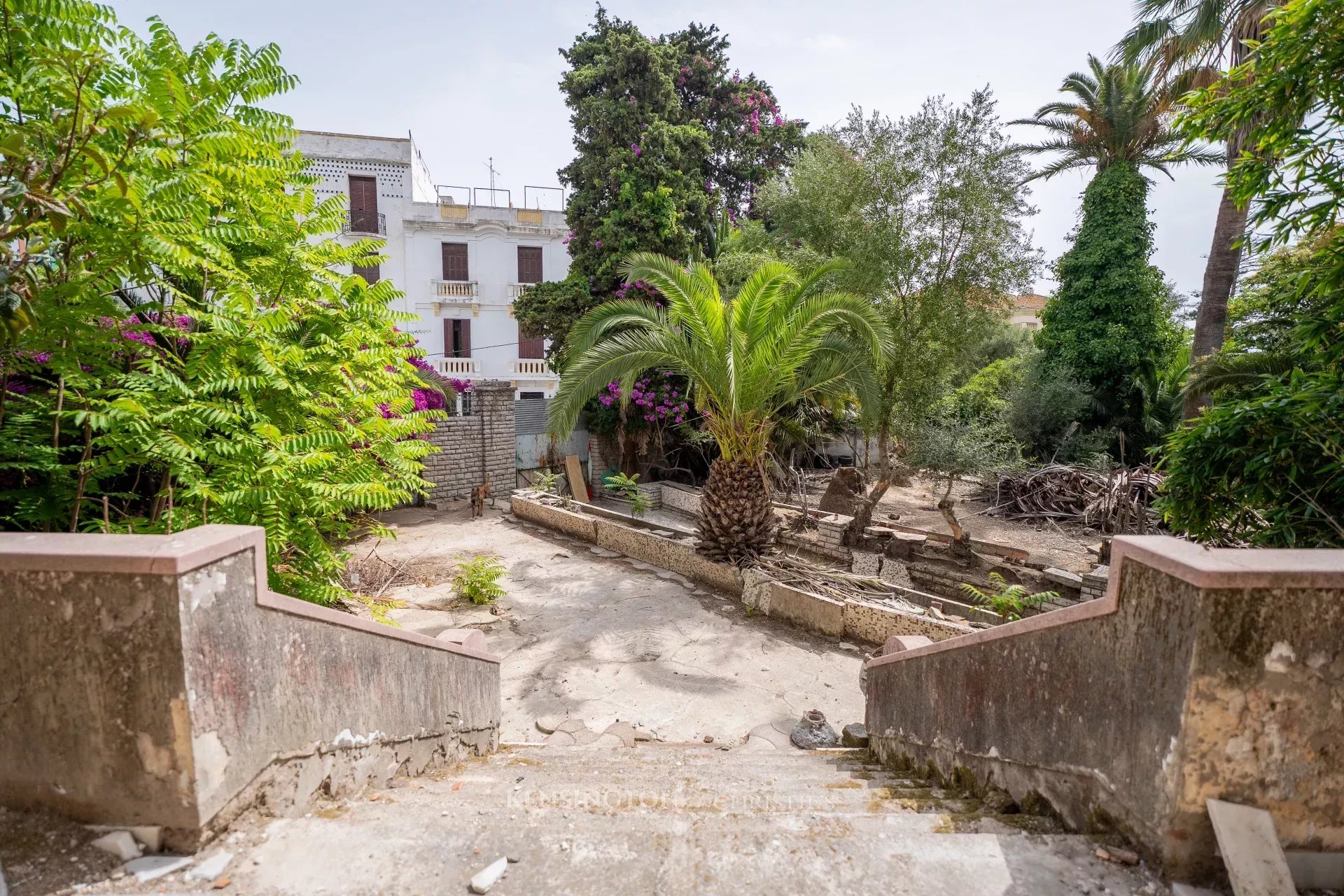 Golden Age in Tanger, Morocco