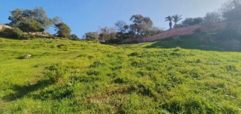 LAND MILA in Tanger, Morocco