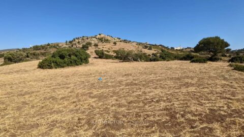 Land Amel in Tangier, Morocco
