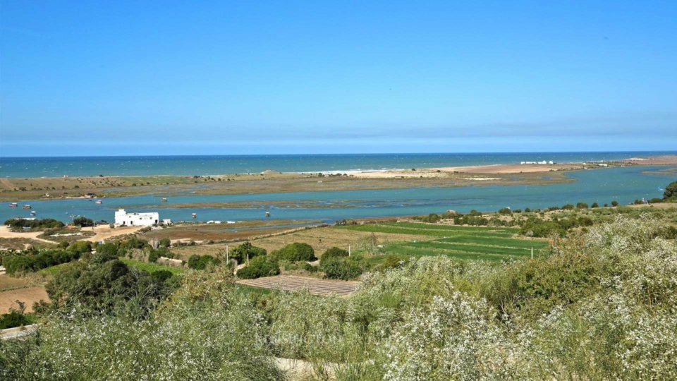 Land Isli in Oualidia, Morocco