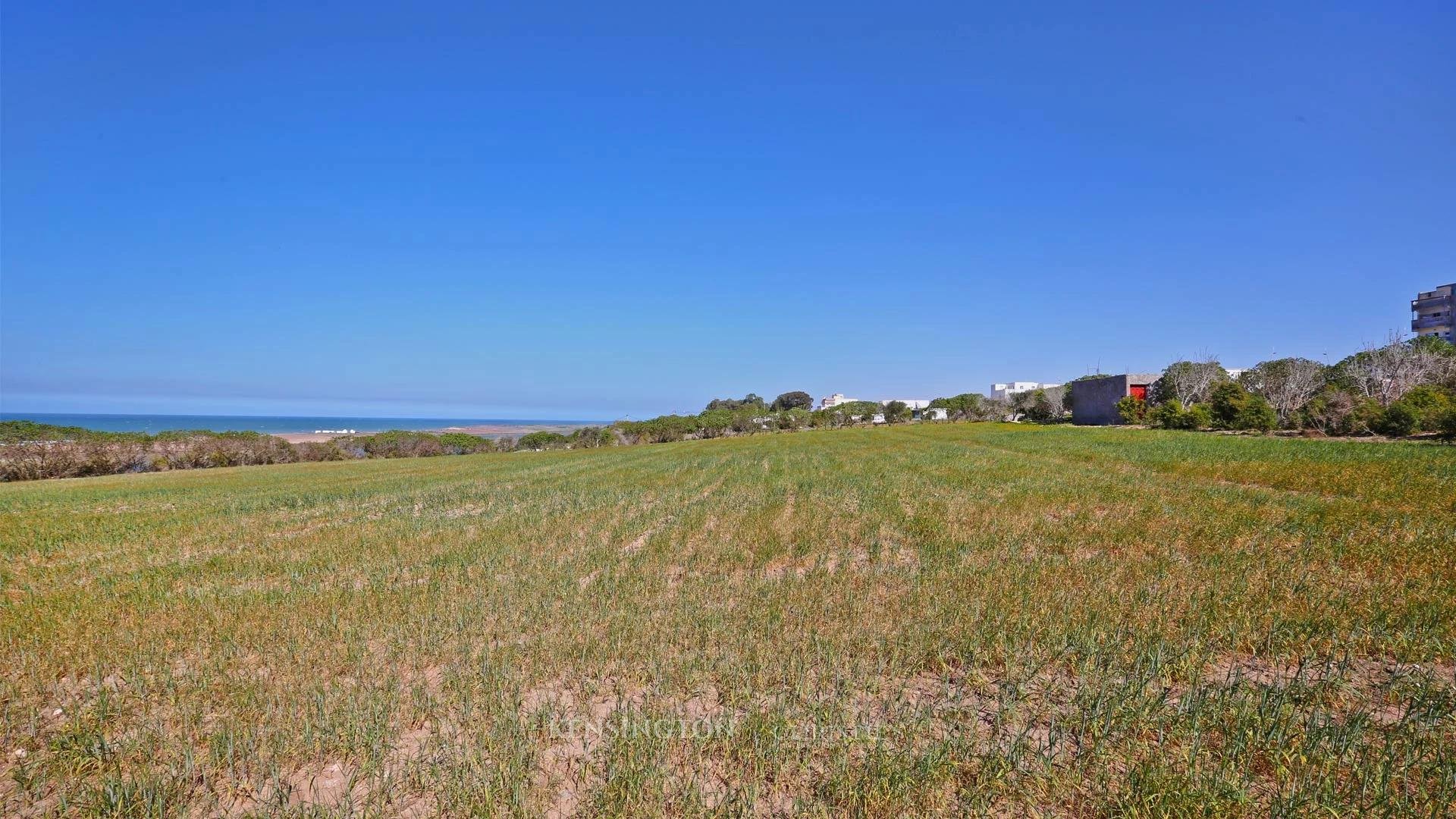 Land Isli in Oualidia, Morocco