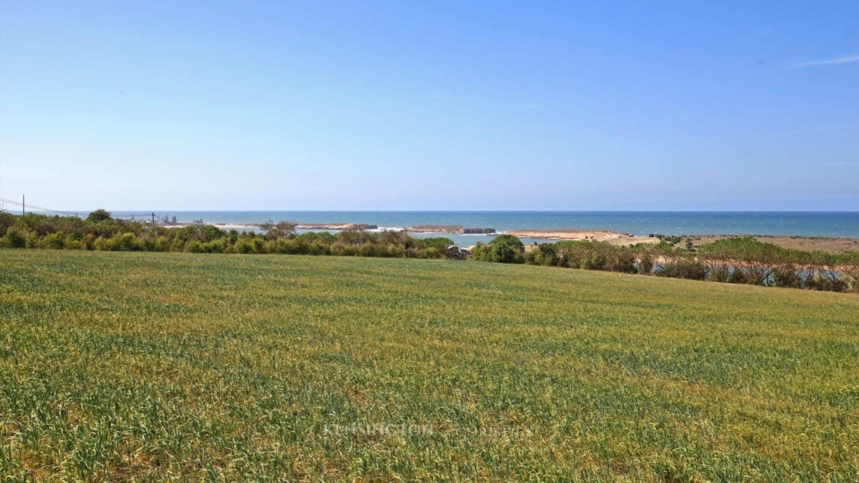 Land Isli in Oualidia, Morocco