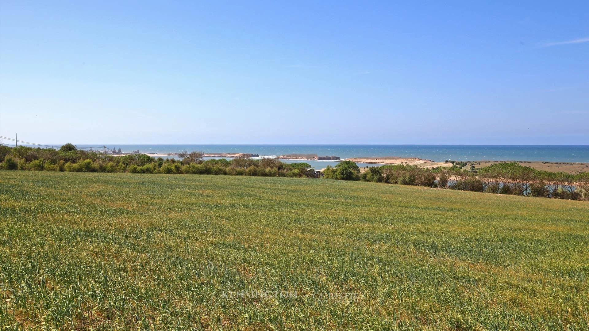 Land Isli in Oualidia, Morocco