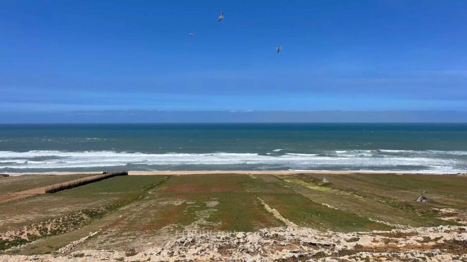 Land Nancy in Oualidia, Morocco