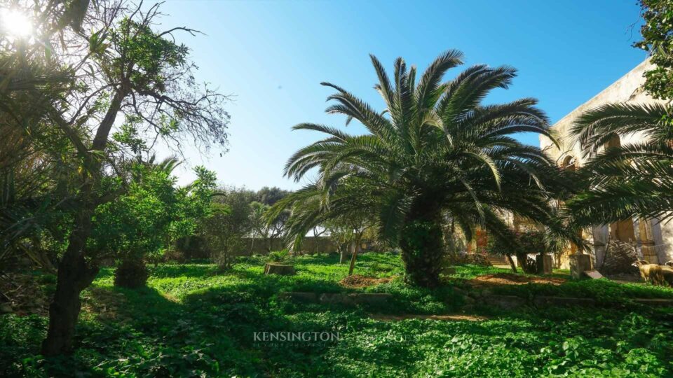 Land Taly in Tanger, Morocco