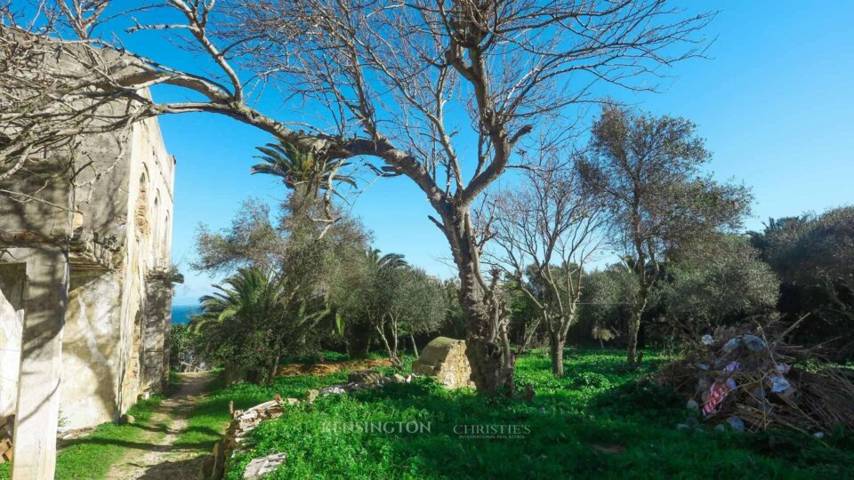 Land Taly in Tanger, Morocco