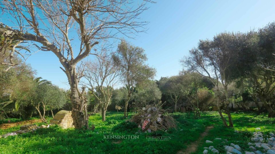 Land Taly in Tanger, Morocco