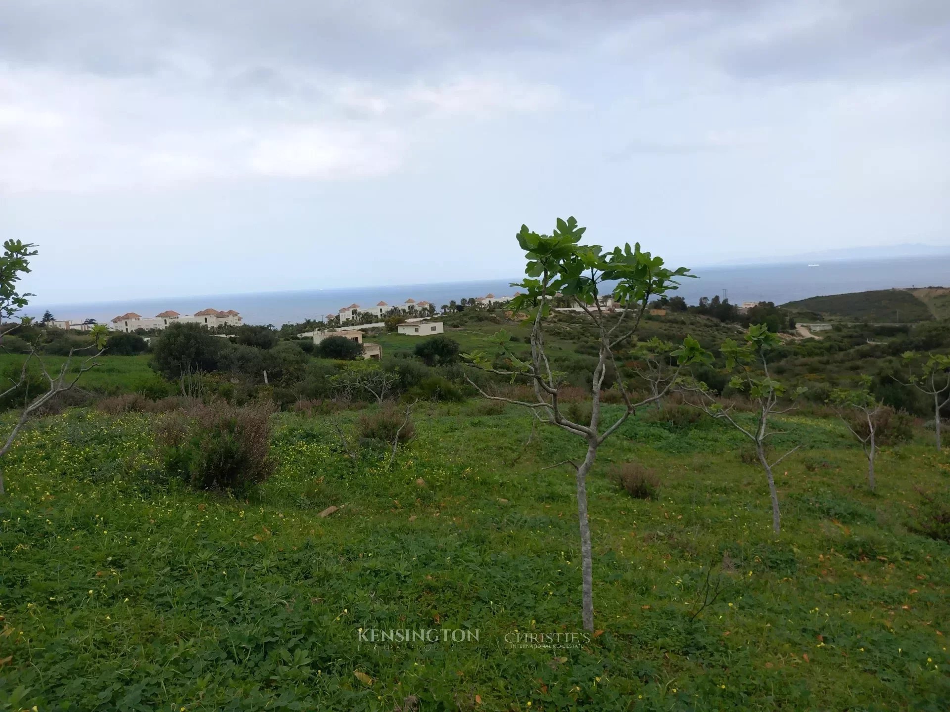 Land Valley in Tangier, Morocco