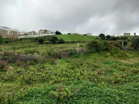 Land Valley in Tangier, Morocco