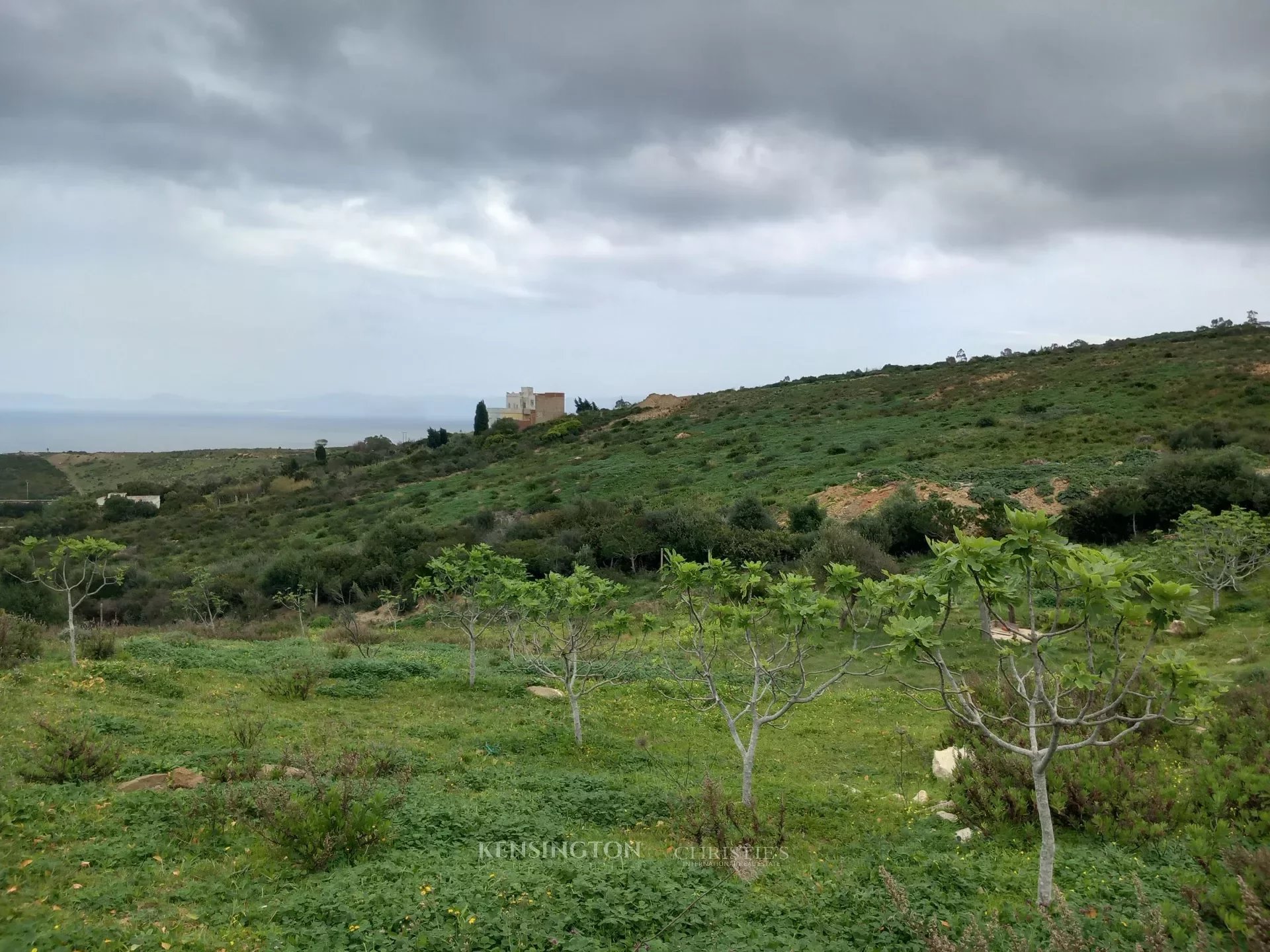 Land Valley in Tangier, Morocco
