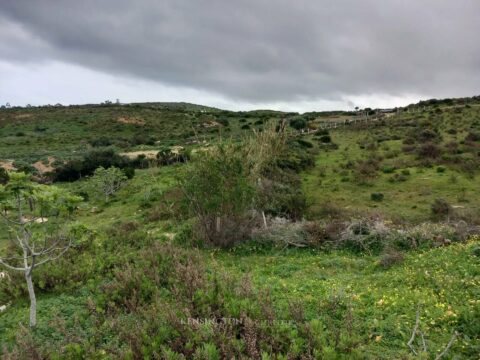Land Valley in Tangier, Morocco