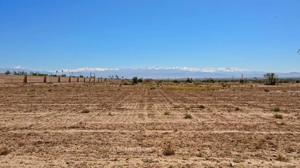 Land Wood in Marrakech, Morocco