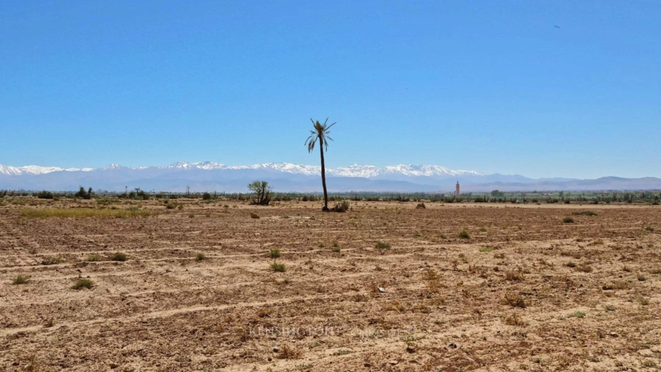 Land Wood in Marrakech, Morocco