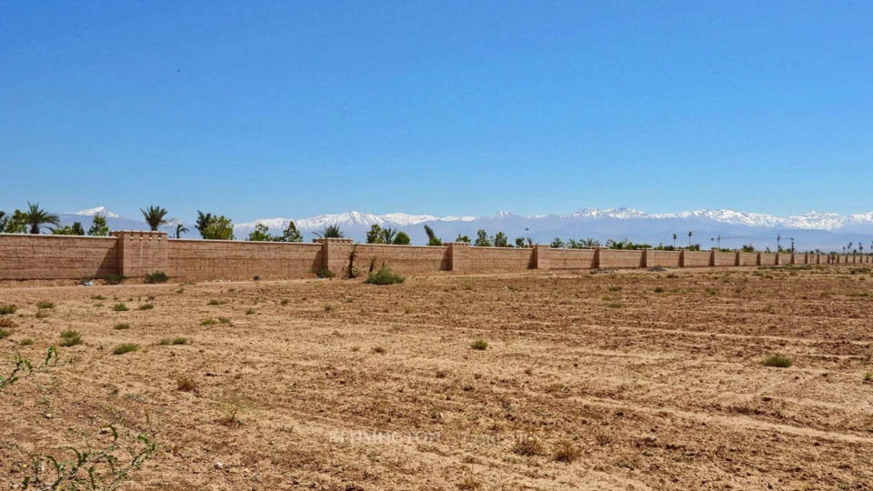 Land Wood in Marrakech, Morocco