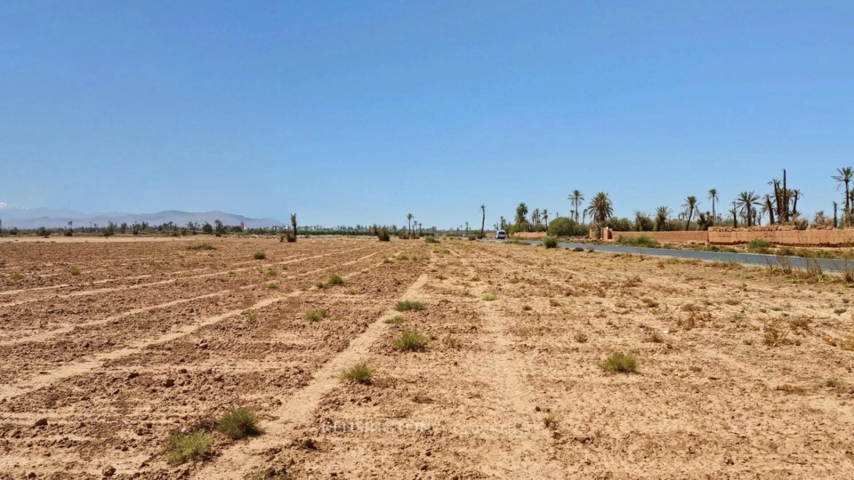 Land Wood in Marrakech, Morocco