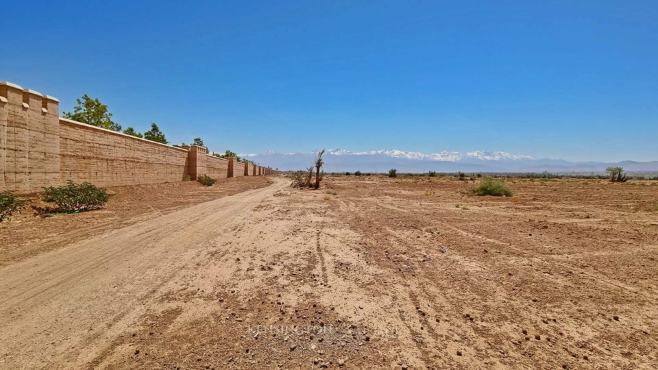 Land Wood in Marrakech, Morocco