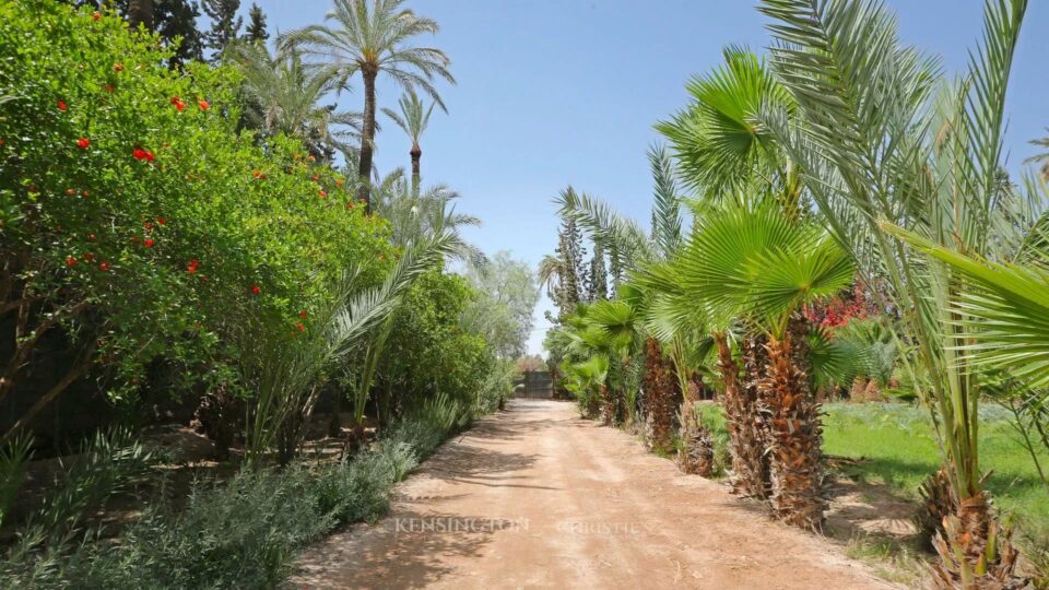 Palmeraie Terrain in Marrakech, Morocco