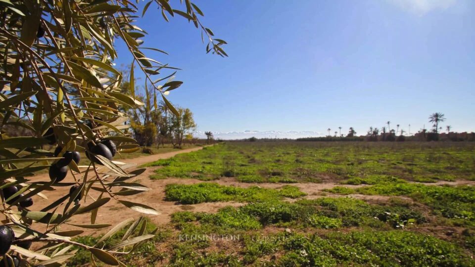 Plot Allal in Marrakech, Morocco