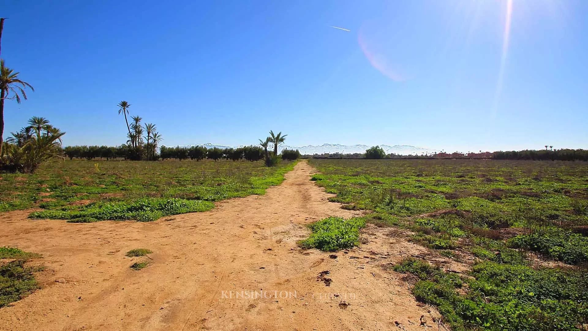 Plot Allal in Marrakech, Morocco
