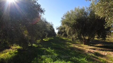 Plot Allal in Marrakech, Morocco