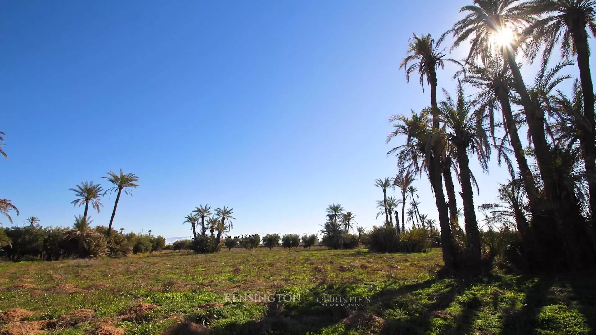 Plot Allal in Marrakech, Morocco