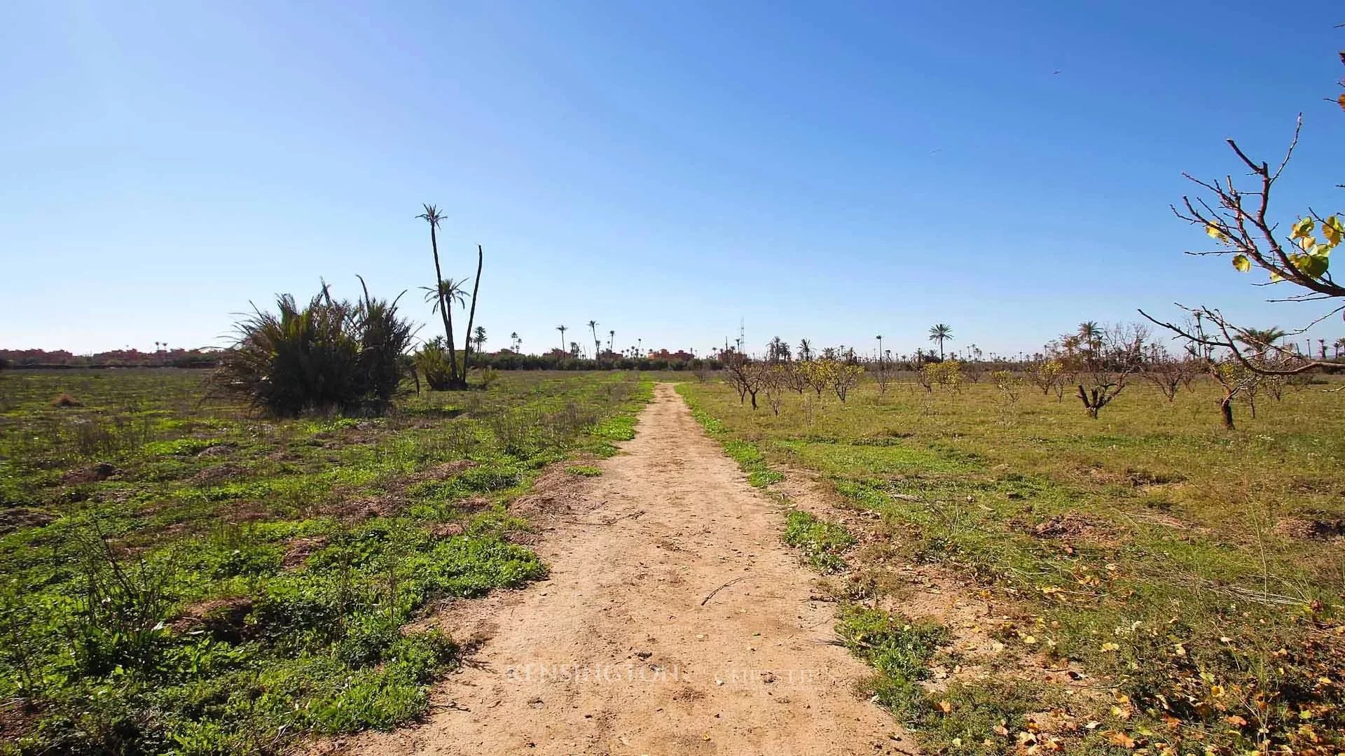 Plot Allal in Marrakech, Morocco
