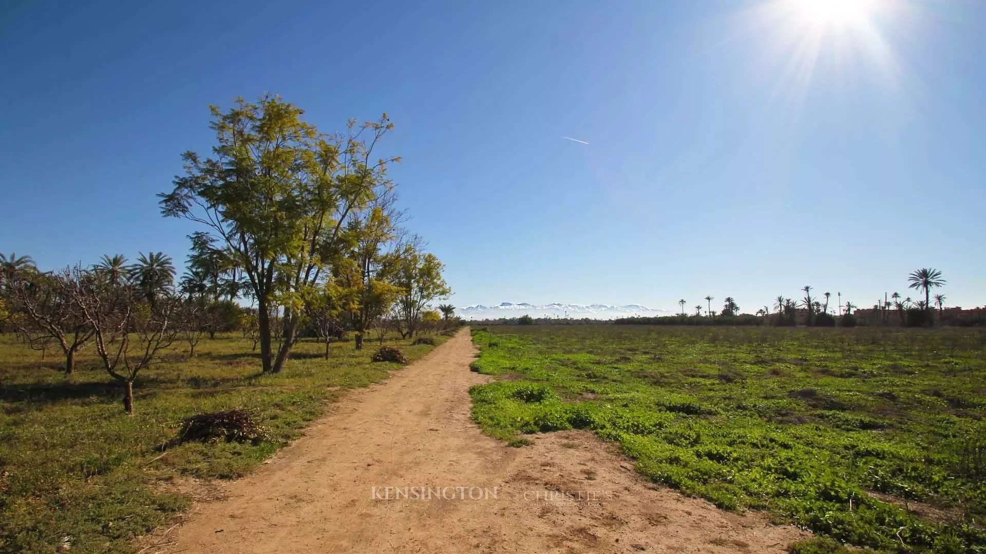 Plot Allal in Marrakech, Morocco
