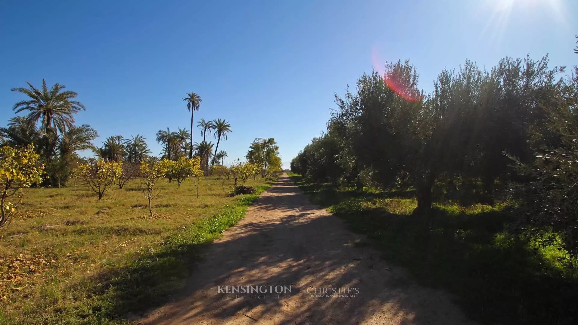 Plot Allal in Marrakech, Morocco