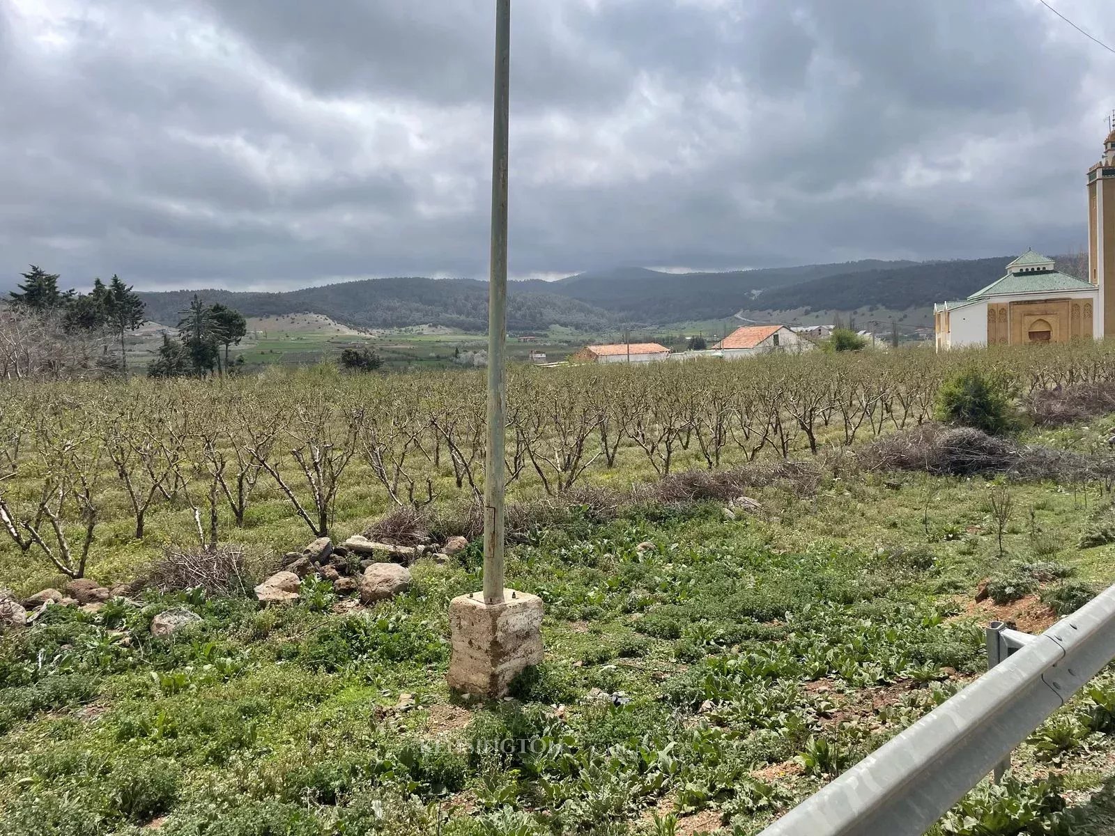 Plot Peaches in Ougmas, Morocco