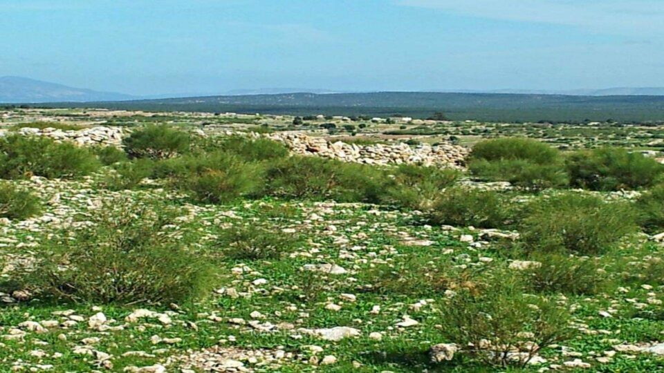 Plots In Essaouira in Essaouira, Morocco