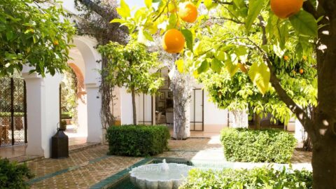 Villa Abella in Marrakech, Morocco