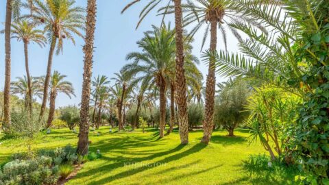 Villa Alcor in Marrakech, Morocco
