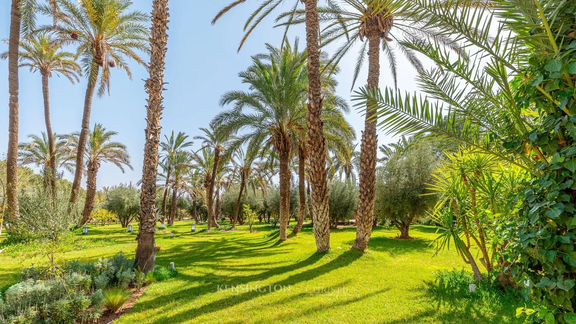 Villa Alcor in Marrakech, Morocco
