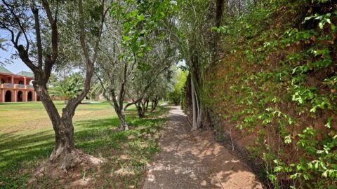 Villa Aslan And Ksar Aslan in Marrakech, Morocco