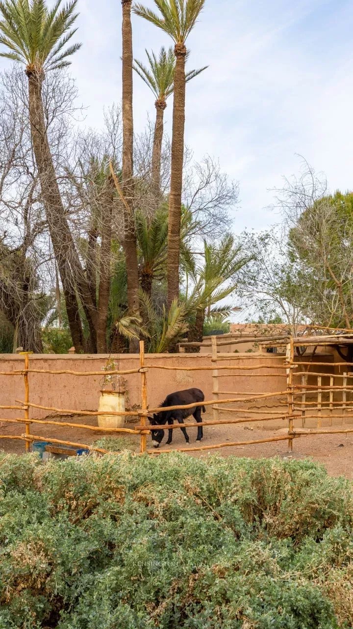 Villa Asmyn in Marrakech, Morocco