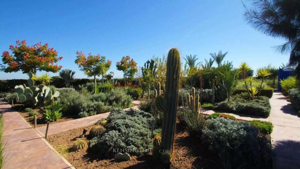 Villa Belena in Marrakech, Morocco