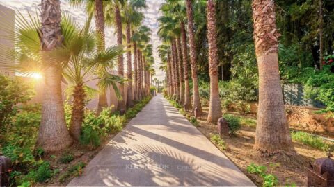 Villa Daprios in Marrakech, Morocco