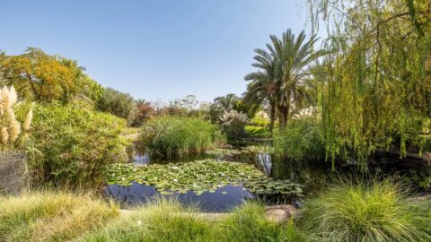 Villa Dorios in Marrakech, Morocco