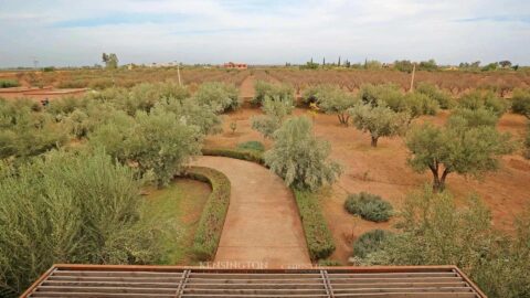 Villa Elegance in Marrakech, Morocco