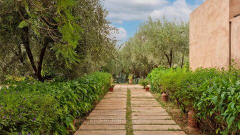 Villa Elya in Marrakech, Morocco