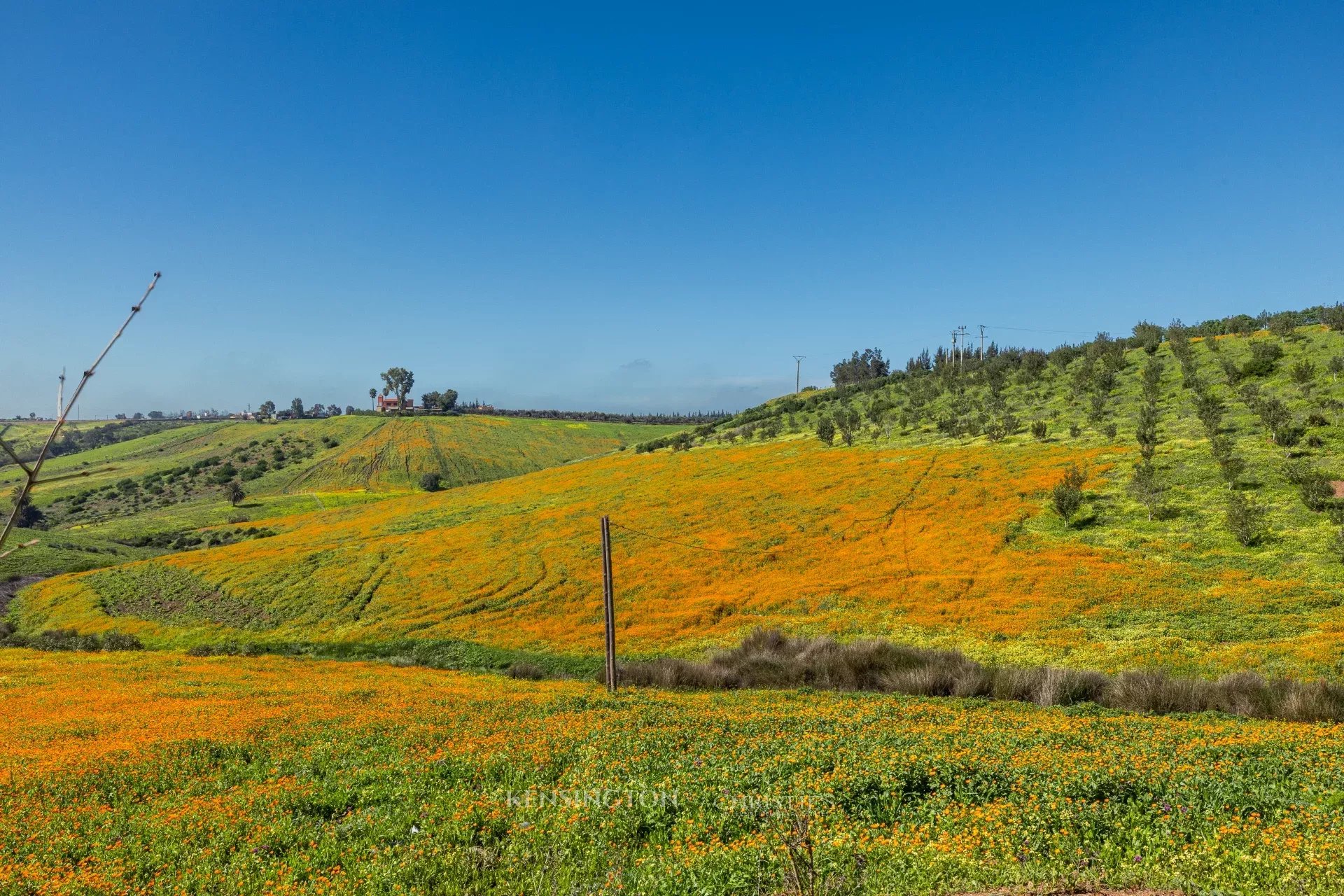 Villa Firmane in Benslimane, Morocco