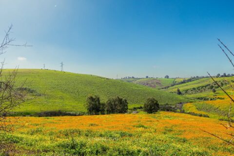 Villa Firmane in Benslimane, Morocco