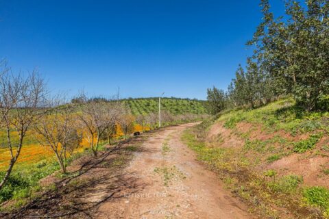 Villa Firmane in Benslimane, Morocco