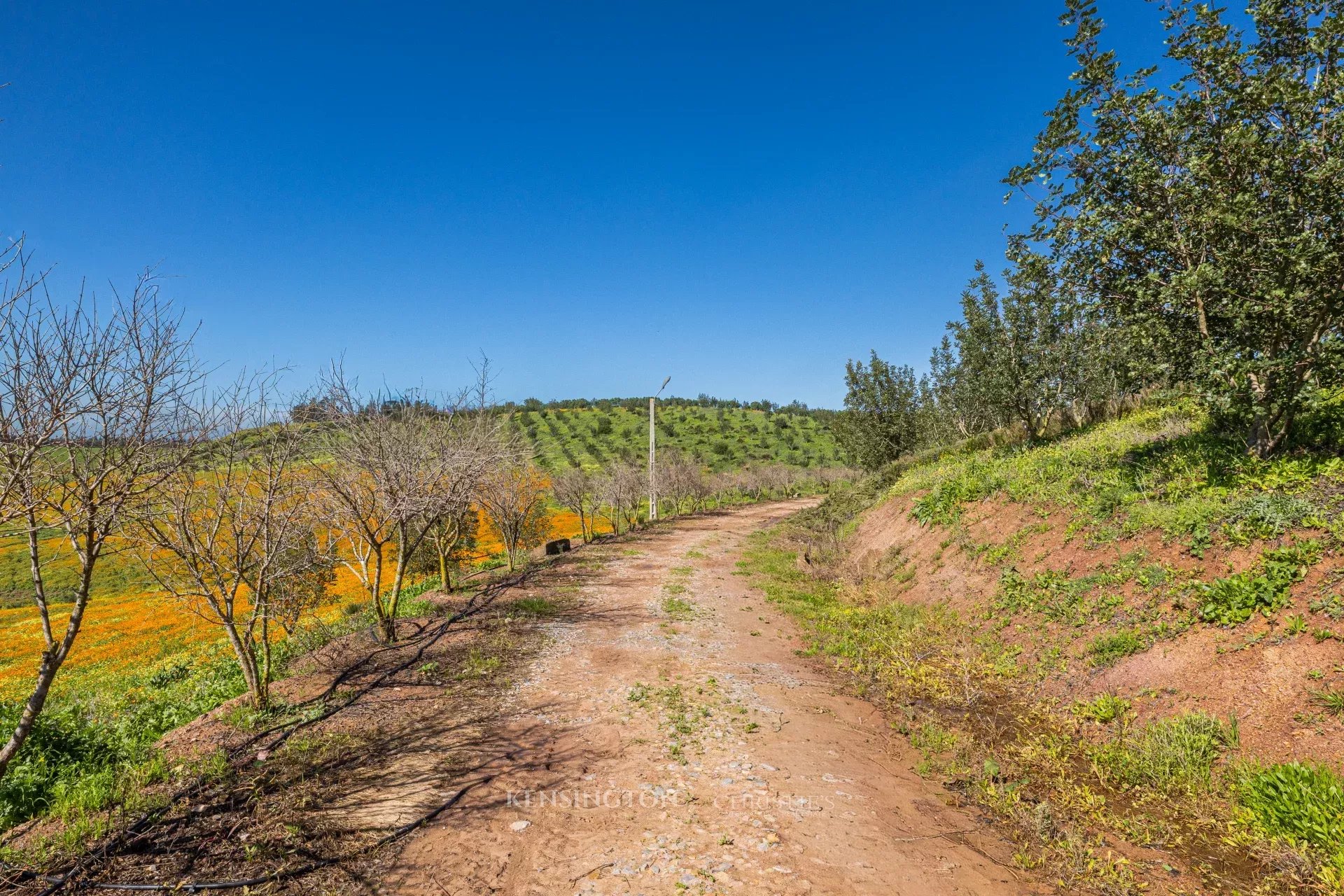 Villa Firmane in Benslimane, Morocco